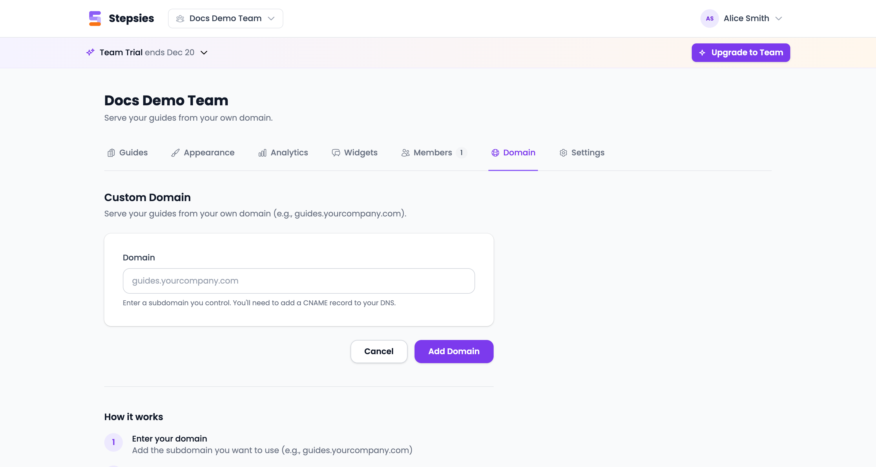 Custom domain setup page showing domain input field and how it works steps